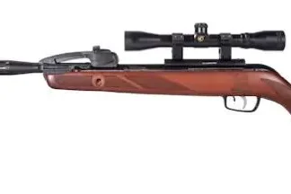 Gamo Swarm Bone Collector 22 Caliber Pellet Air Rifle with Scope