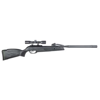 Gamo Swarm Whisper .22 10 RDs 19.9"