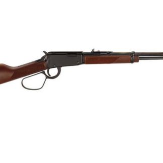 HENRY REPEATING ARMS H001MLL 22WMR LARGE LOOP