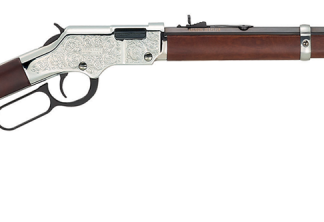 Henry Repeating Arms Silver Eagle 17HMR 20-inch 12Rnd