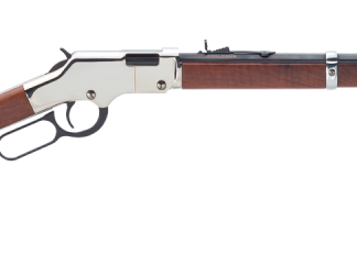 Henry Repeating Arms Silver Boy 17HMR 20-inch 12 Rnd