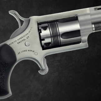 North American Arms The Long Rifle Wasp Stainless Steel .22LR 1.625-inch 5 Rds