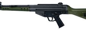 PTR 91 GI railed Black .308WIN 18-inch 10rd Bullet button Green furniture