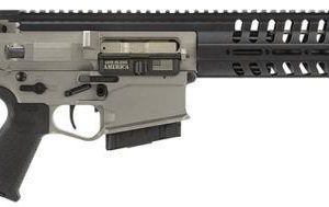 Patriot Ordnance Factory 00641 Sport Rifle 14-inch 11M RAIL 308 CA 10RD