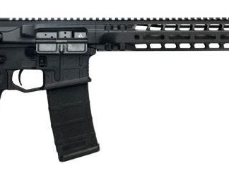 Radian Weapons Model 1 .223 Wylde 16" Barrel 30-Rounds