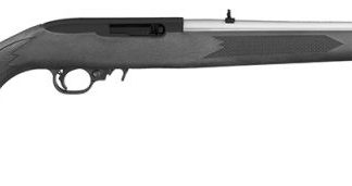 Ruger 10/22 Carbine Stainless / Black .22 LR 18.5-inch 10Rd