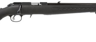 RUGER AMERICAN RIMFIRE RIFLE .22LR 22-INCH 10RD