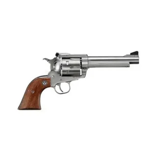 Ruger Super Blackhawk Standard Stainless .44 Mag 5.5-inch 6Rds
