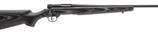 SAVAGE B.MAG TARGET BLUE .17WSM 22-INCH 8RD