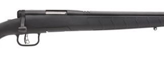 Savage B.MAG 17 HMR 22-inch 8Rds