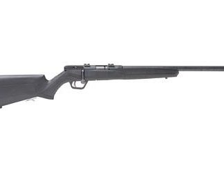 SAVAGE B17 BLACK .17 HMR 21-INCH 10RD HEAVY BARREL