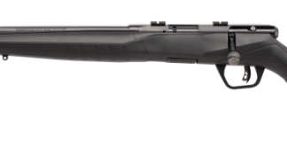 SAVAGE B17 F BLUED .17 HMR 21-INCH 10RDS LEFT HAND