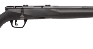 SAVAGE B17 F COMPACT BLUED .17 HMR 18-INCH 10RDS ACCUTRIGGER