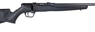 SAVAGE ARMS B22 22 LR 21 INCH BARREL 10 RDS