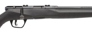 SAVAGE B22 COMPACT BLUED .22 LR 18-INCH 10RDS ACCUTRIGGER