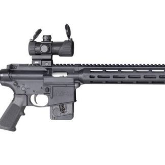 Smith and Wesson M&P15-22 Sport with Red/Green Dot Optic .22 LR 16.5-inch 10Rds