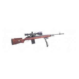 Springfield M21 Tactical 308 10rd