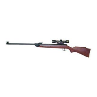Umarex 2166164 RWS M34 Combo .177 Air Gun Rifle