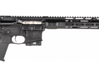 Wilson Combat Protector Carbine 300 Blackout 16.25" Barrel 10 RDs *CA Compliant