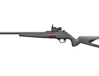 Winchester Wildcat Gray .22 LR 18" Barrel 10-Rounds with Red Dot