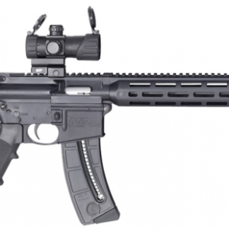 Smith and Wesson M&P15-22 Sport with Red/Green Optic .22 LR 16.5-inch 25Rds