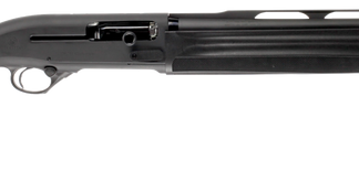 Beretta for sale